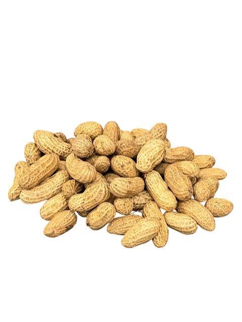 Arachide frais