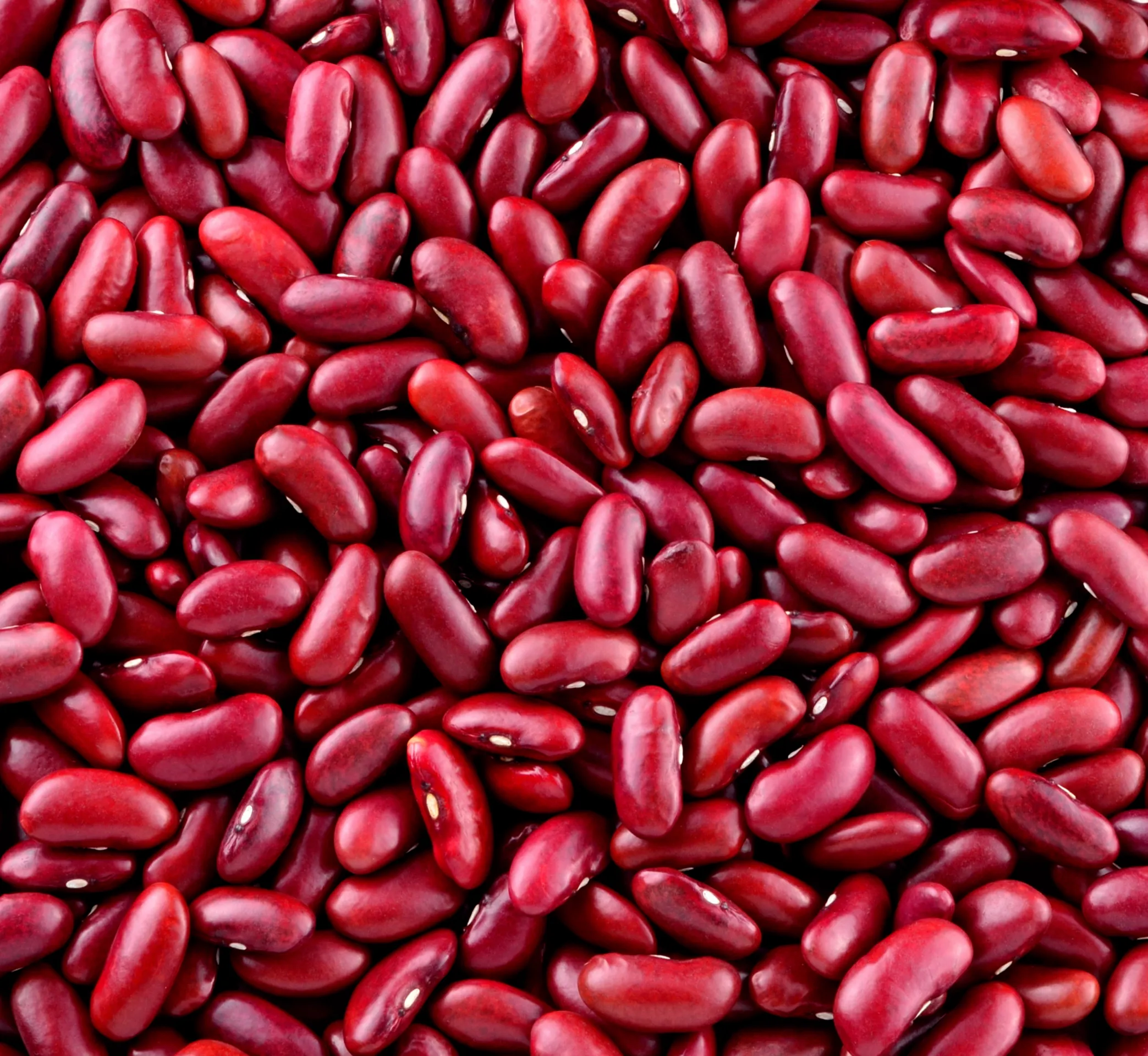Haricot (noir, rouge)